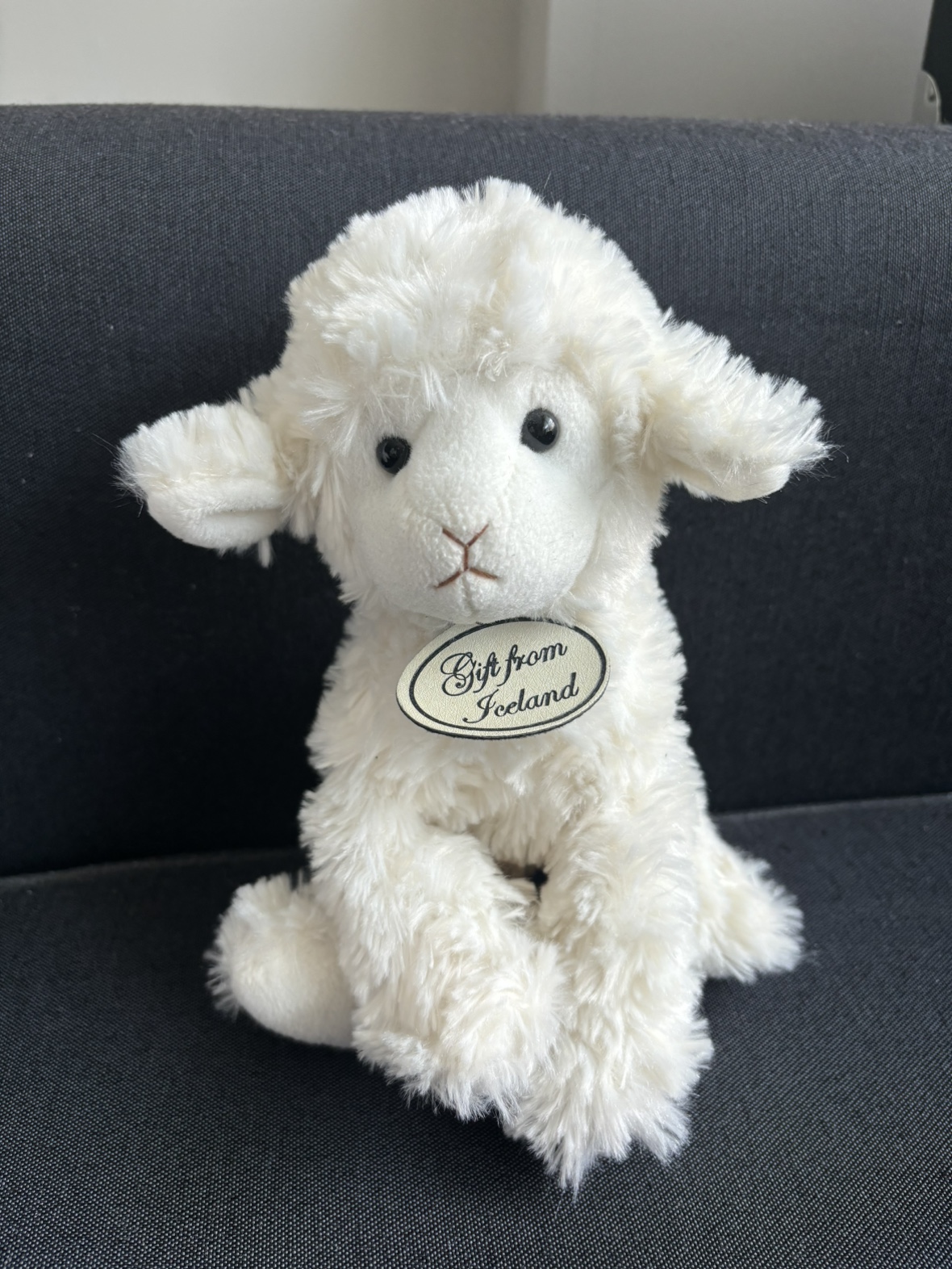 Stuffed toys teddy bear and sheep image indicator(2)