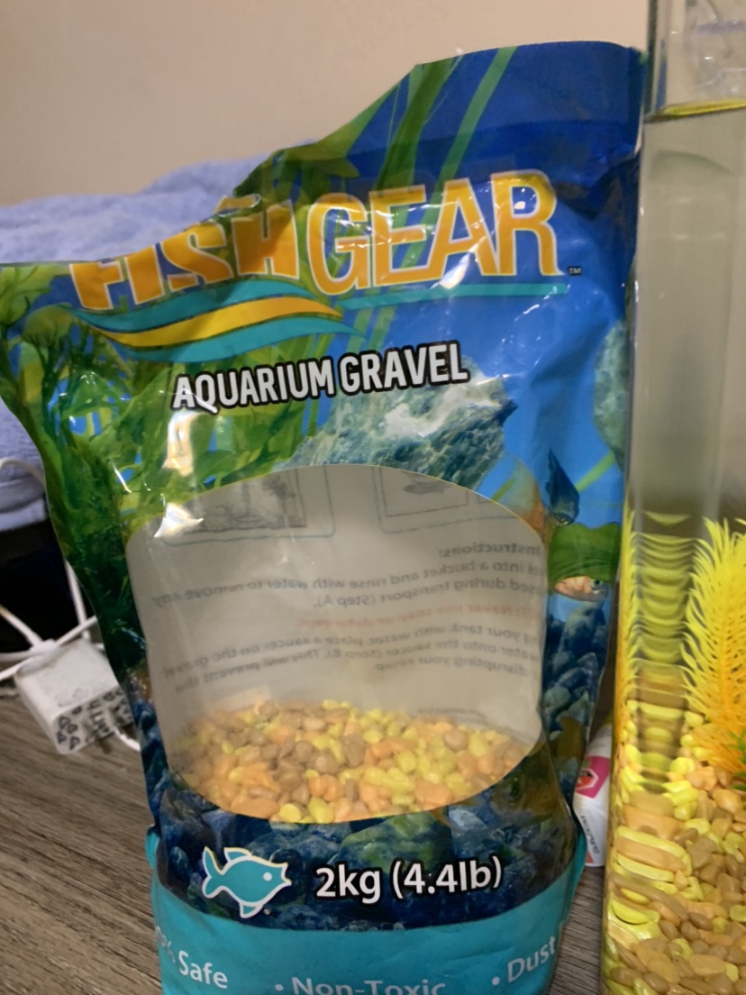 2 Gallon Fish Tank - photo 4