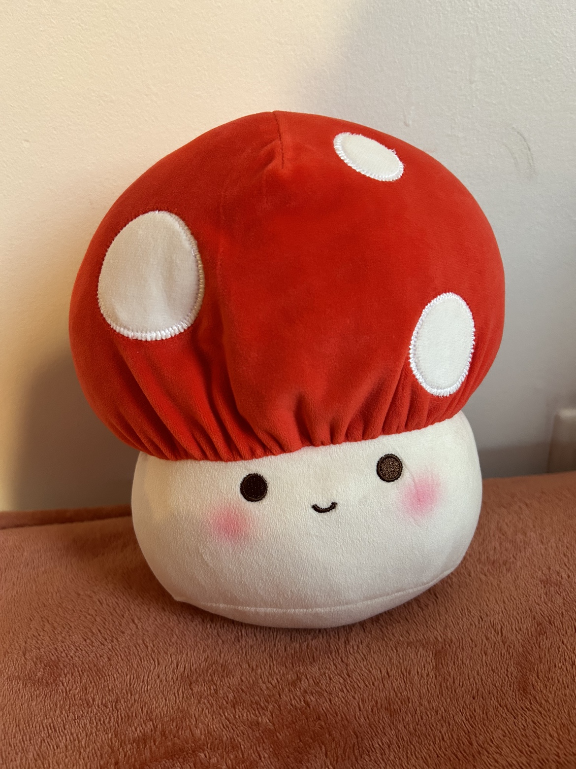 Plushies miniso - photo 3