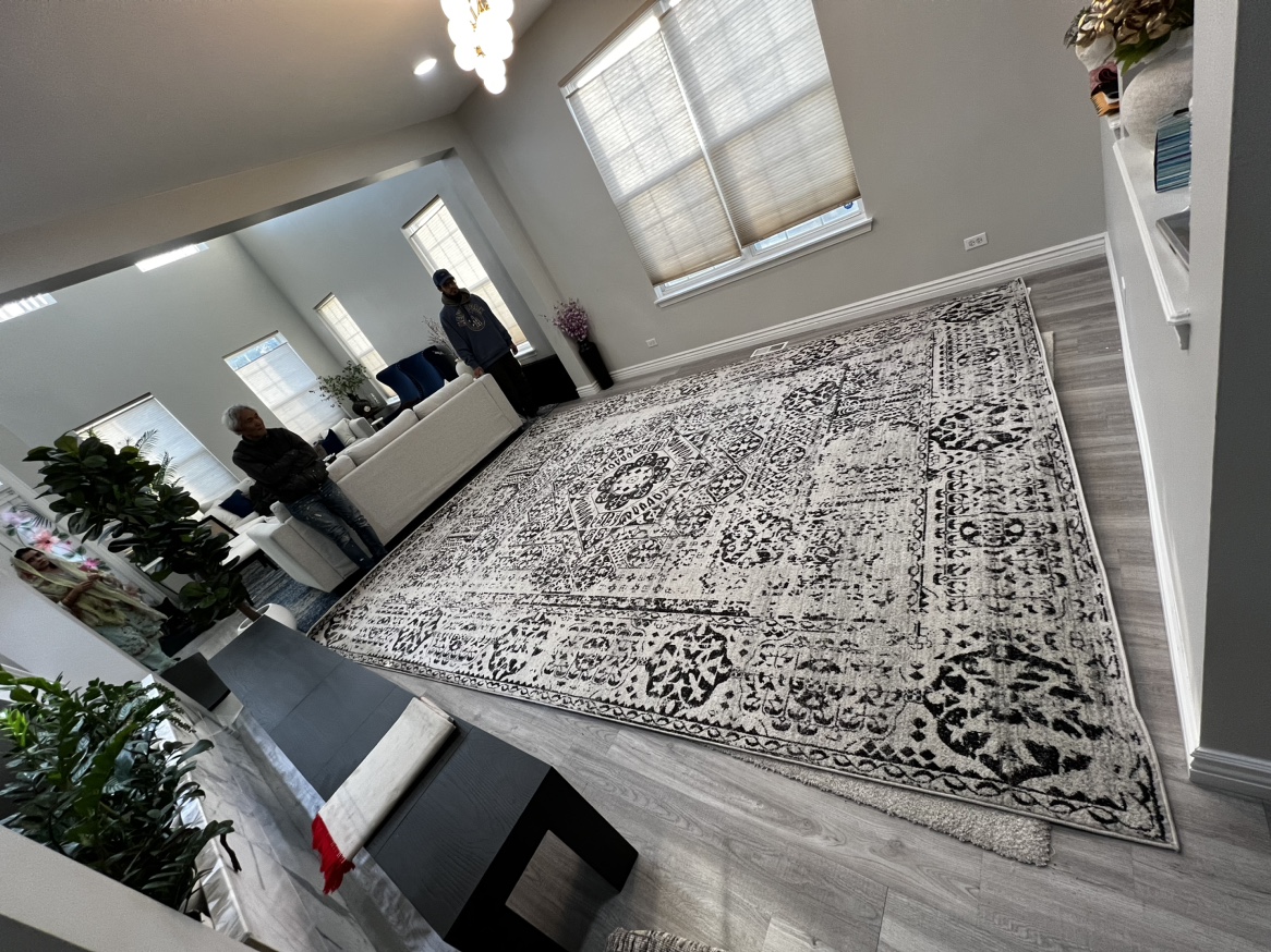 Evoke Ivory/Black 10 ft. x 14 ft. Area Rug by SAFAVIEH - photo 3