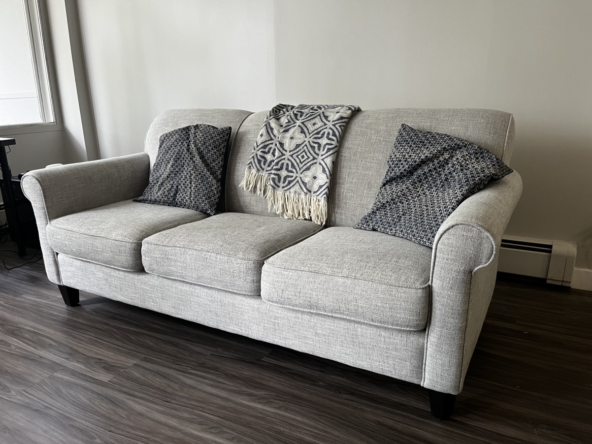 Apartment sized sofa - photo 5