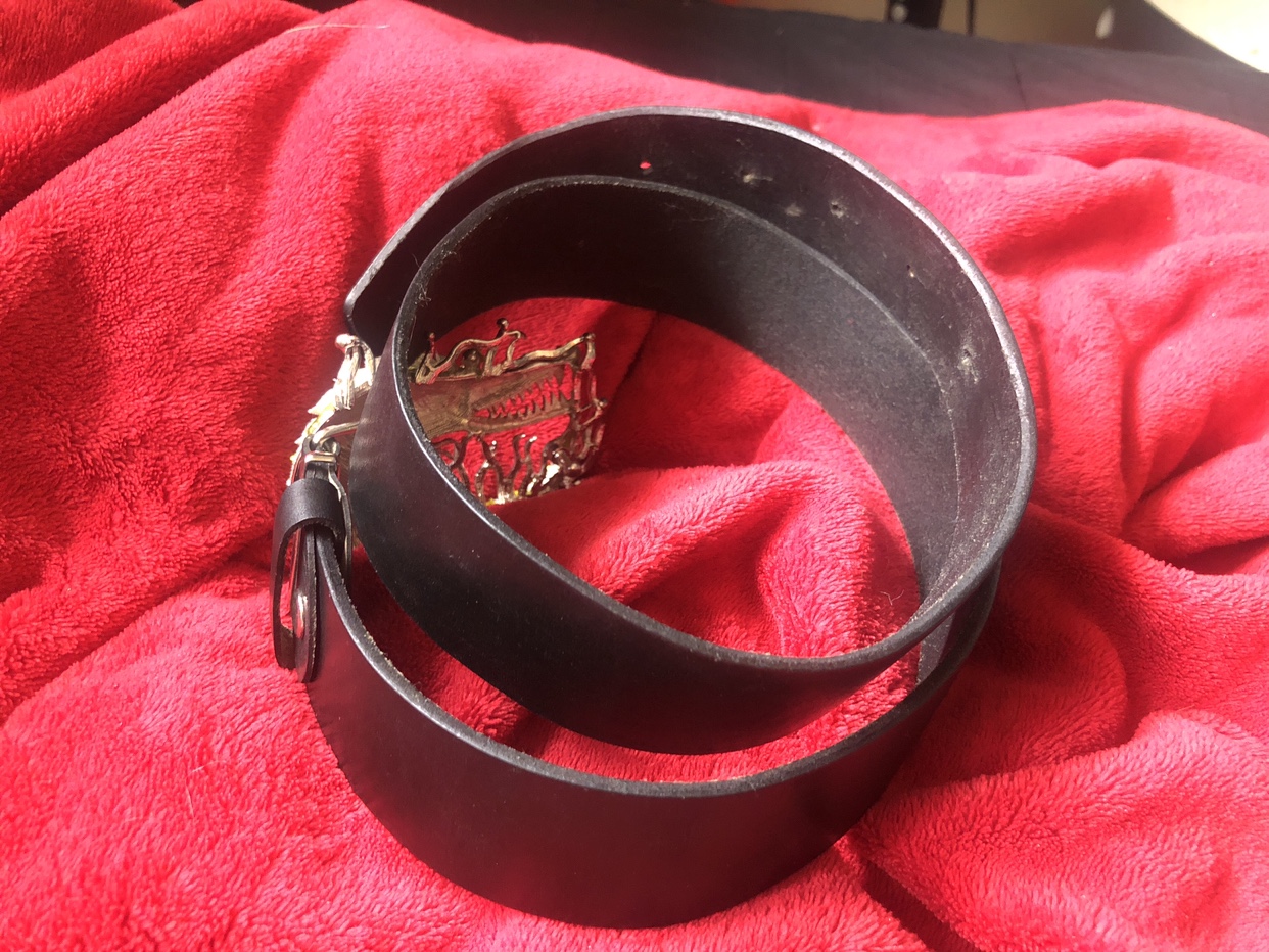 Bedazzled crocodile belt image indicator(6)