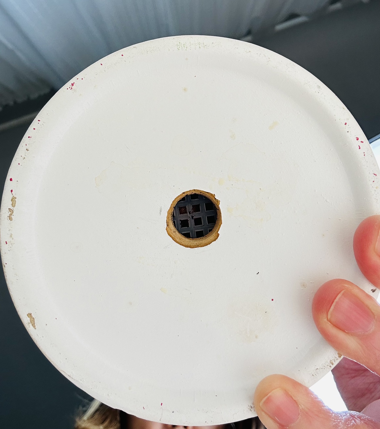 Succulent Plant image indicator(8)