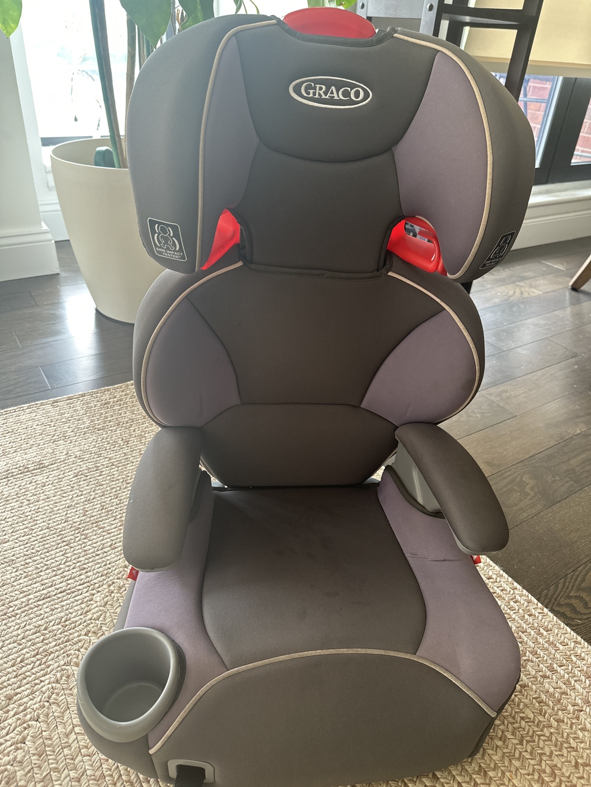 Graco TurboBooster Car Seat