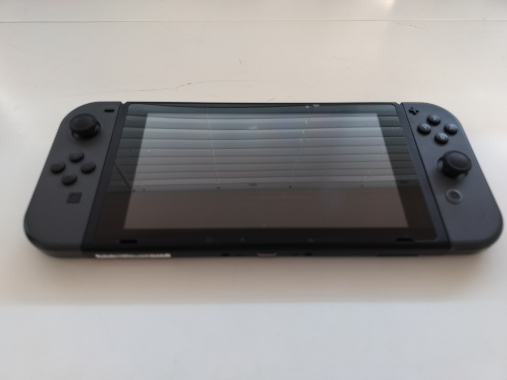 Nintendo switch with Case