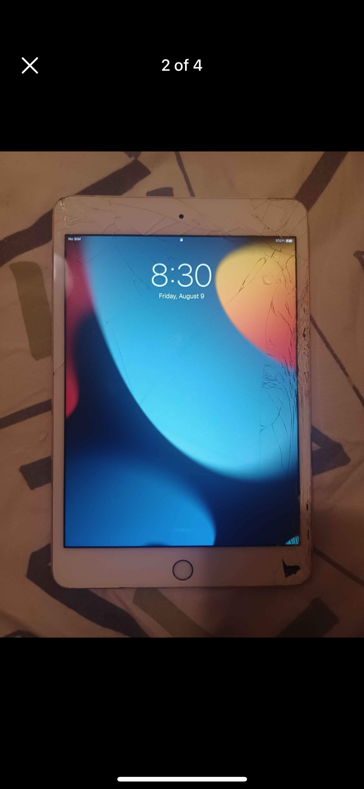 iPad mini 4