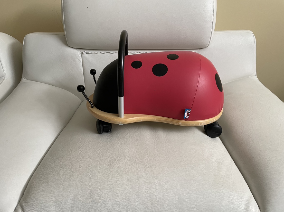 Prince Lionheart Wheely, Lady Bug