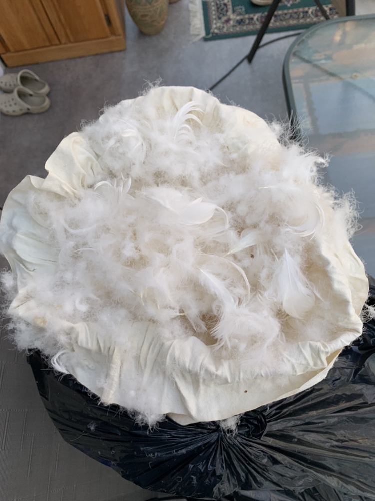 Down Feather Fill #freecycle
