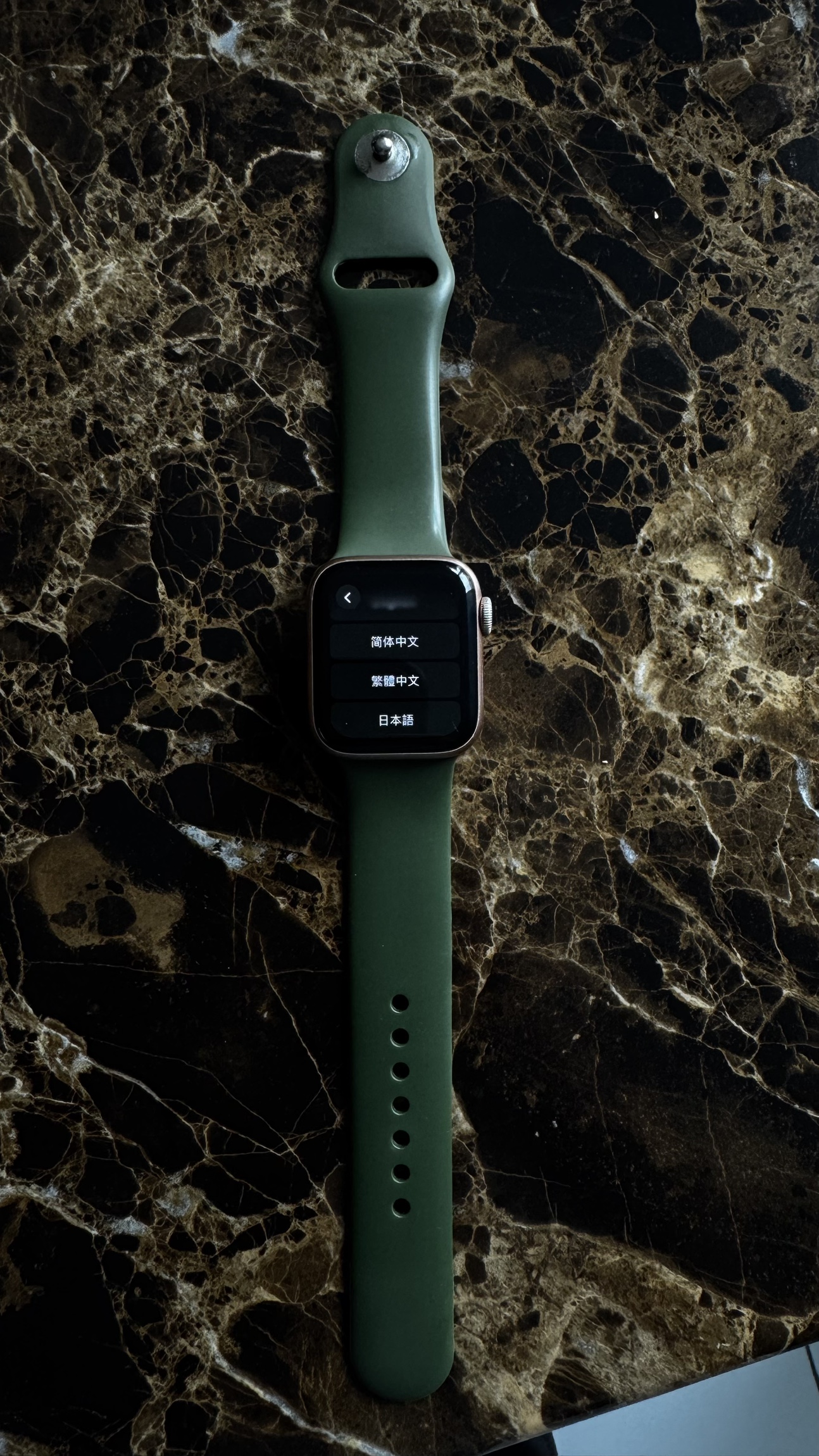 Apple Watch Series 5