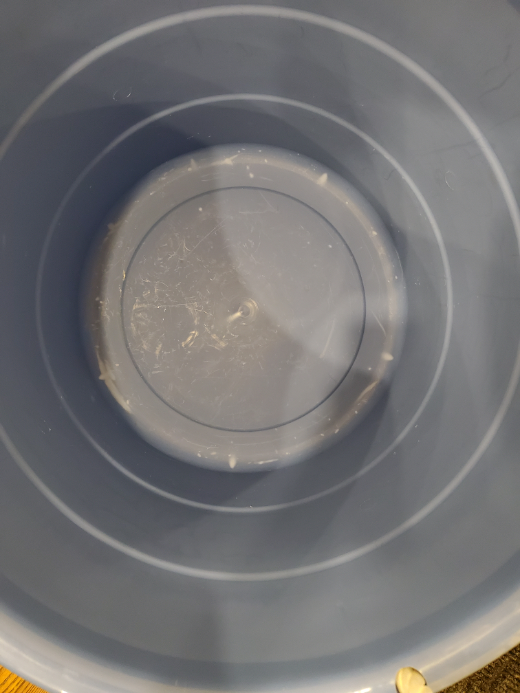 Blue Bucket #freecycle image indicator(2)