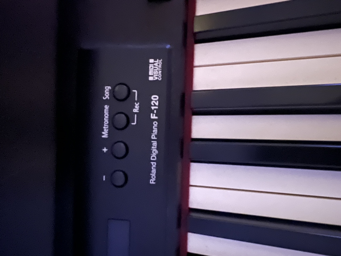 Roland Digital Piano F-120 - photo 2
