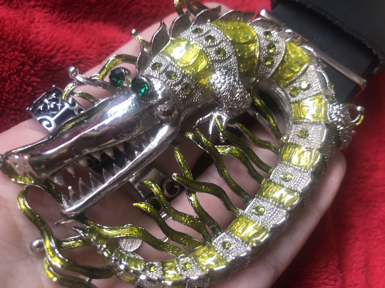 Bedazzled crocodile belt image indicator(2)
