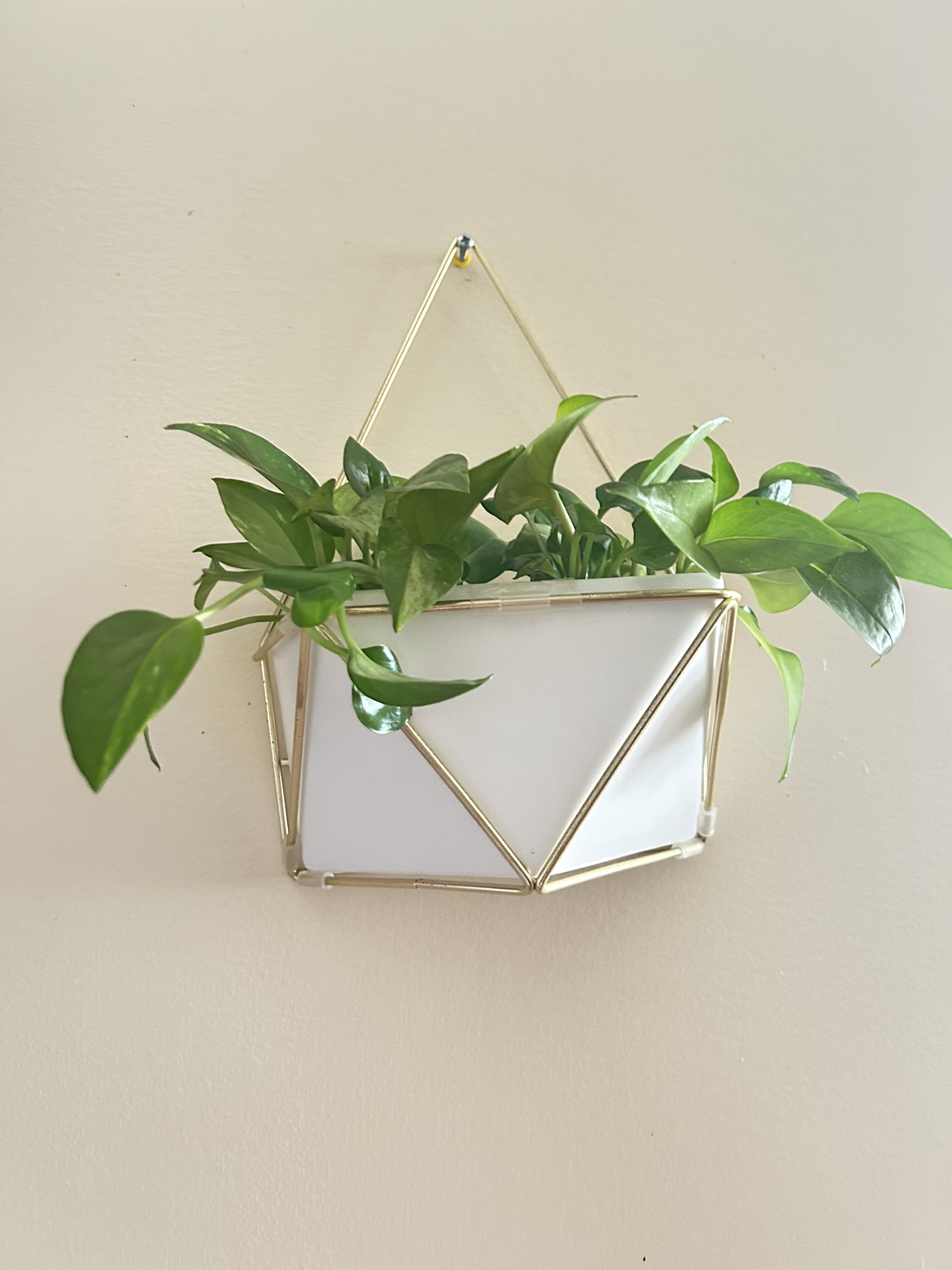 Geometric Wall Planters thumbnail