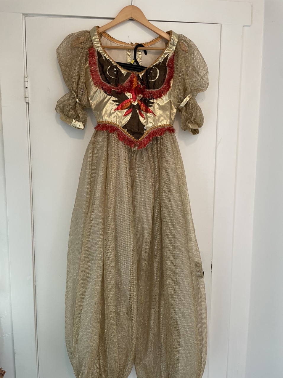 Dora Bella Costume image indicator(10)