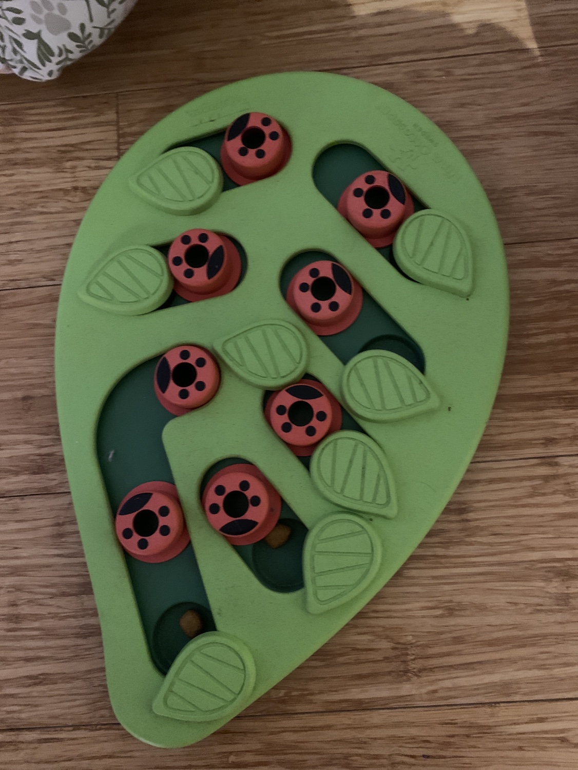 Cat toys image indicator(6)