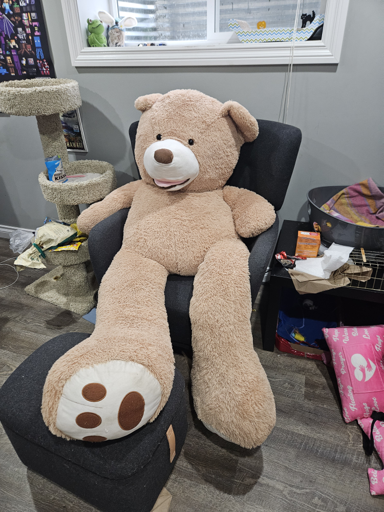 teddy Bear thumbnail