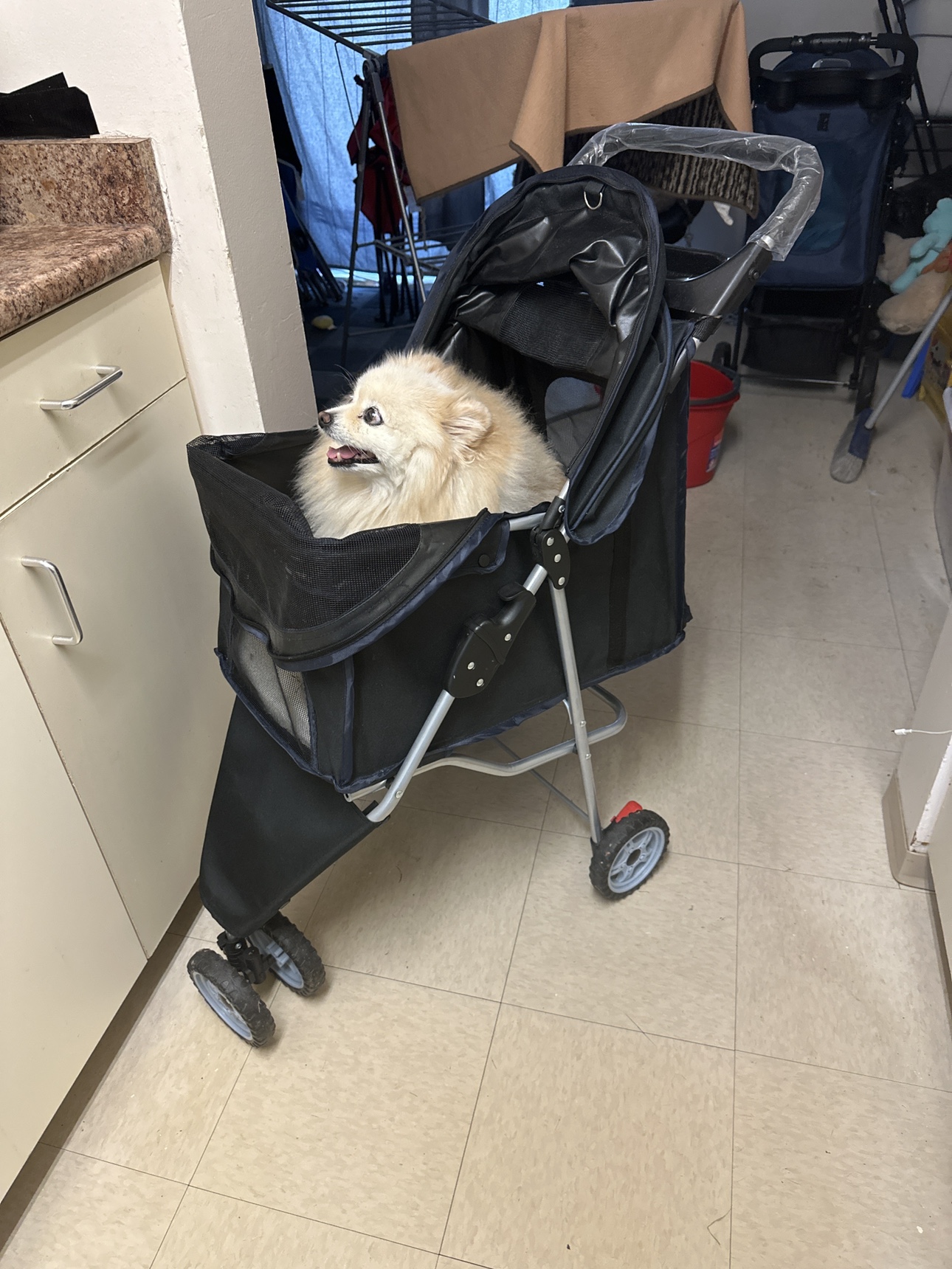 Pet Stroller image indicator(2)