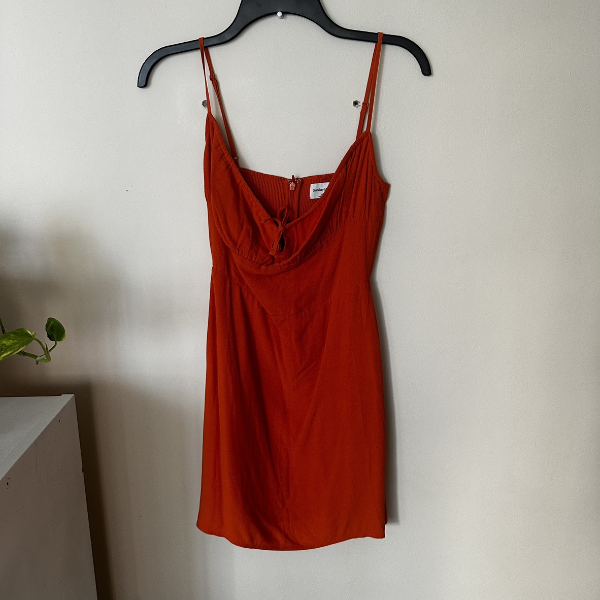 BNWOT Aritzia dress