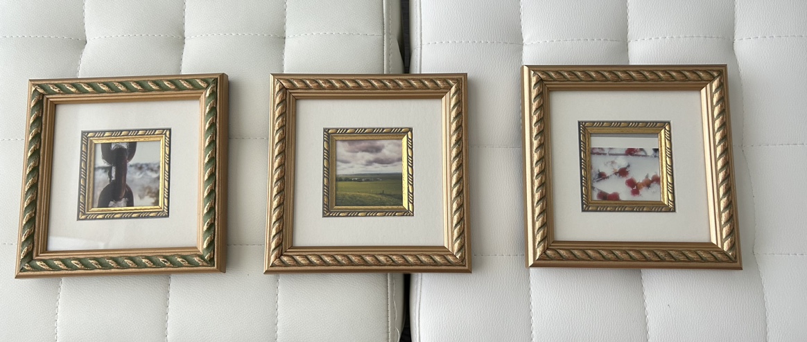 Set of 3 Framed Photos