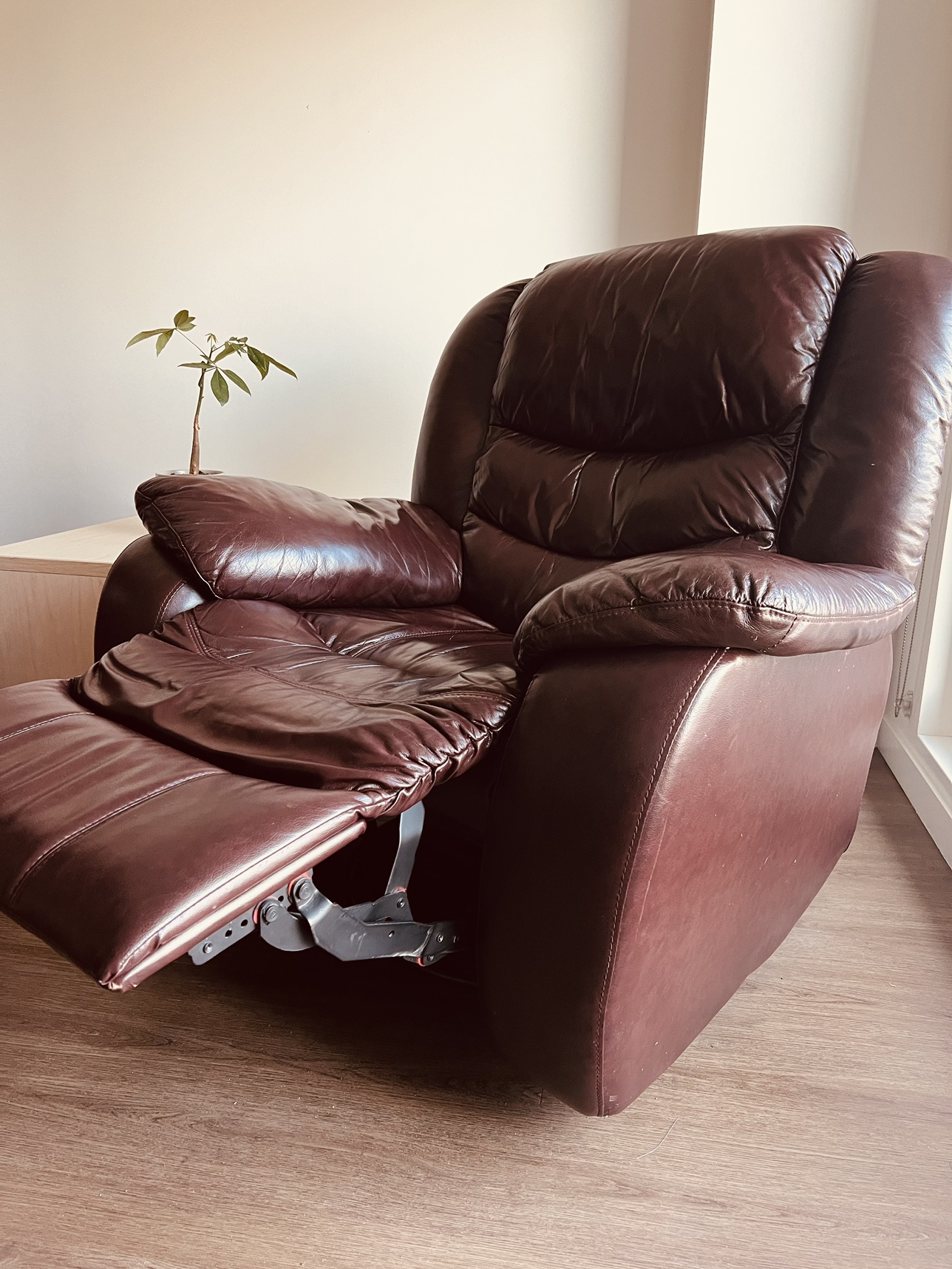 Lazy boy sofa - photo 2