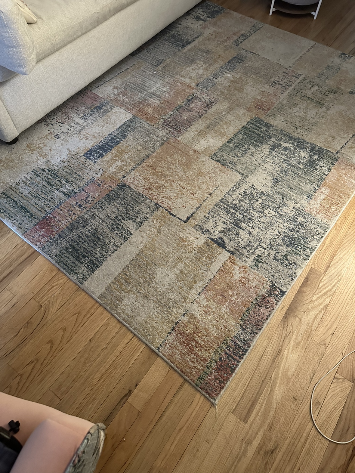 Living room area rug