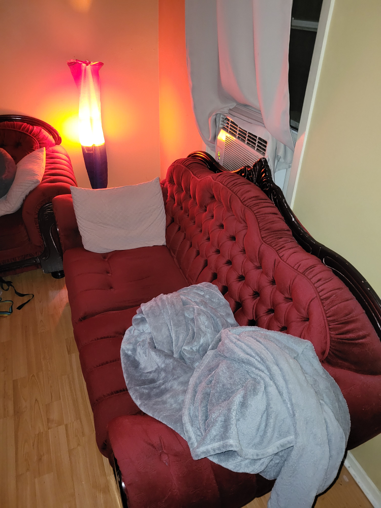 Vintage red love seat