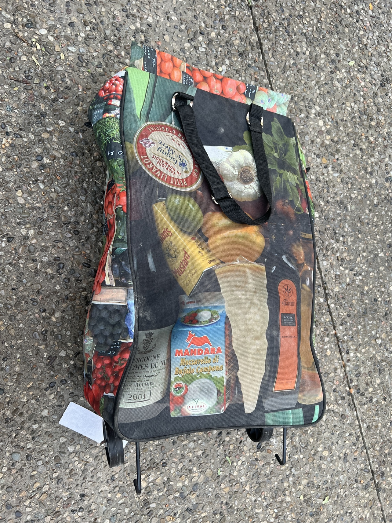 Grocery Shopping Cart