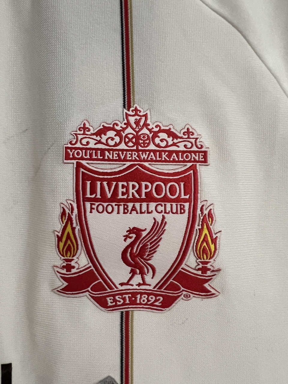 Liverpool FC Away Jersey 2010-2011 - photo 3
