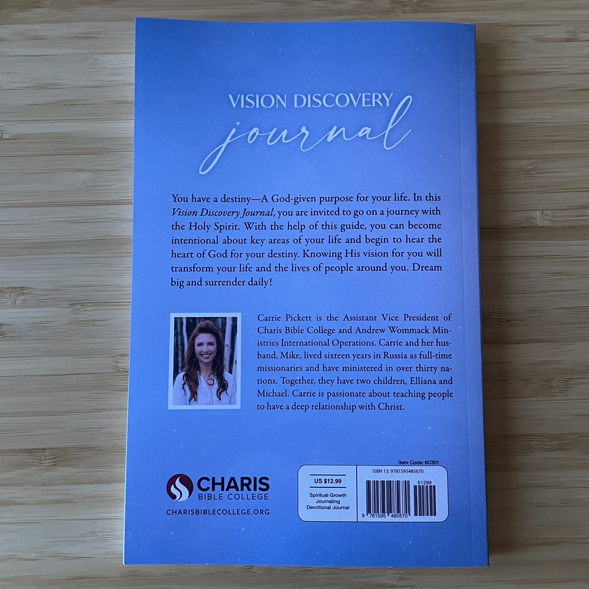 Vision Discovery Journal by Carrie Pickett image indicator(2)