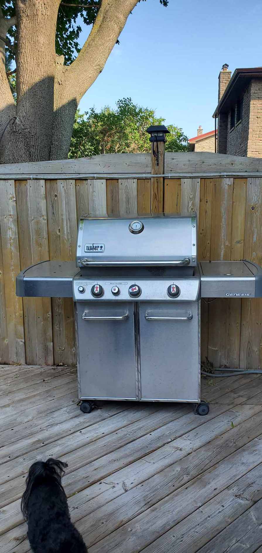 Weber Genesis BBQ- gas- warden & Steeles thumbnail