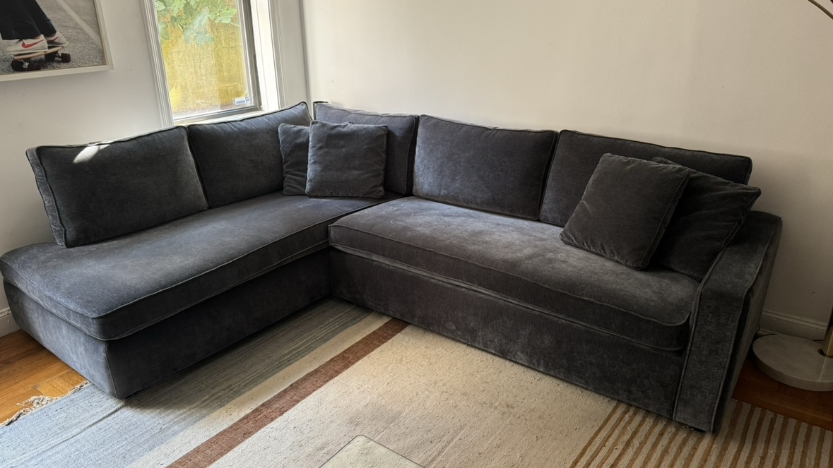 Interior Define James Sectional Sleeper