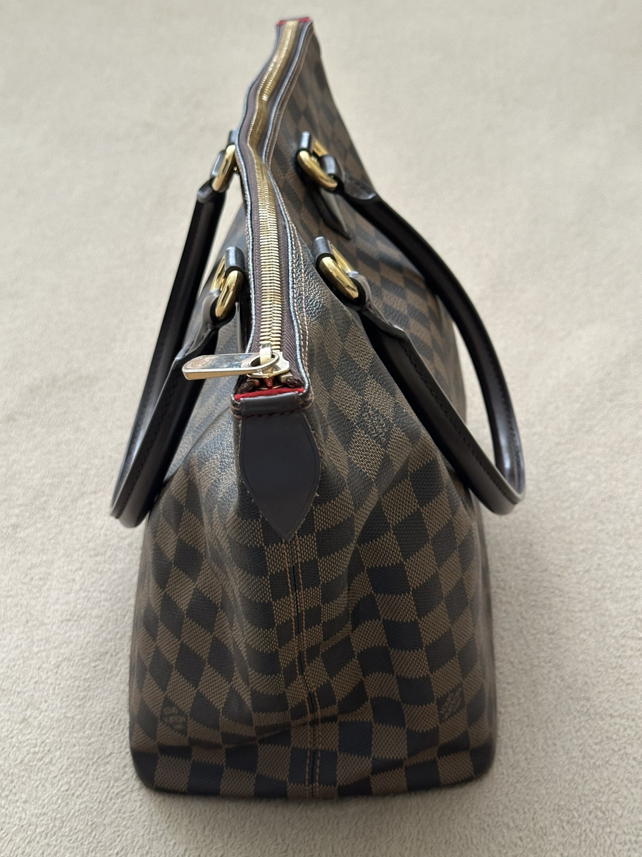 Louis Vuitton Damier Ebene Saleya MM Tote Bag image indicator(5)