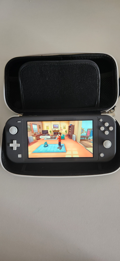 Nintendo Switch Lite Grey with case