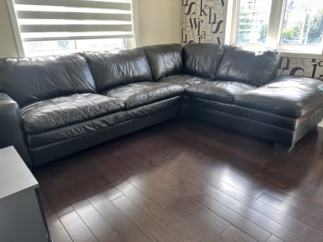 Leather sofa bed