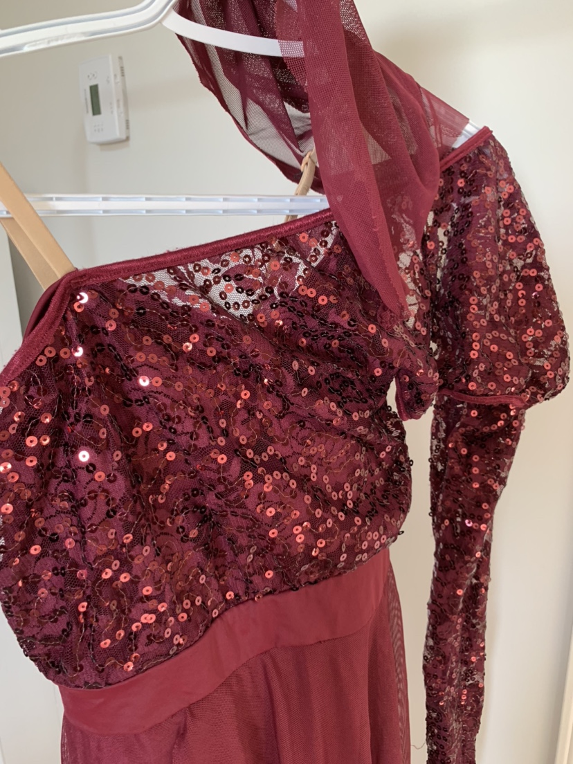 Burgundy Sequined Dance Dress Halloween Costume - photo 2