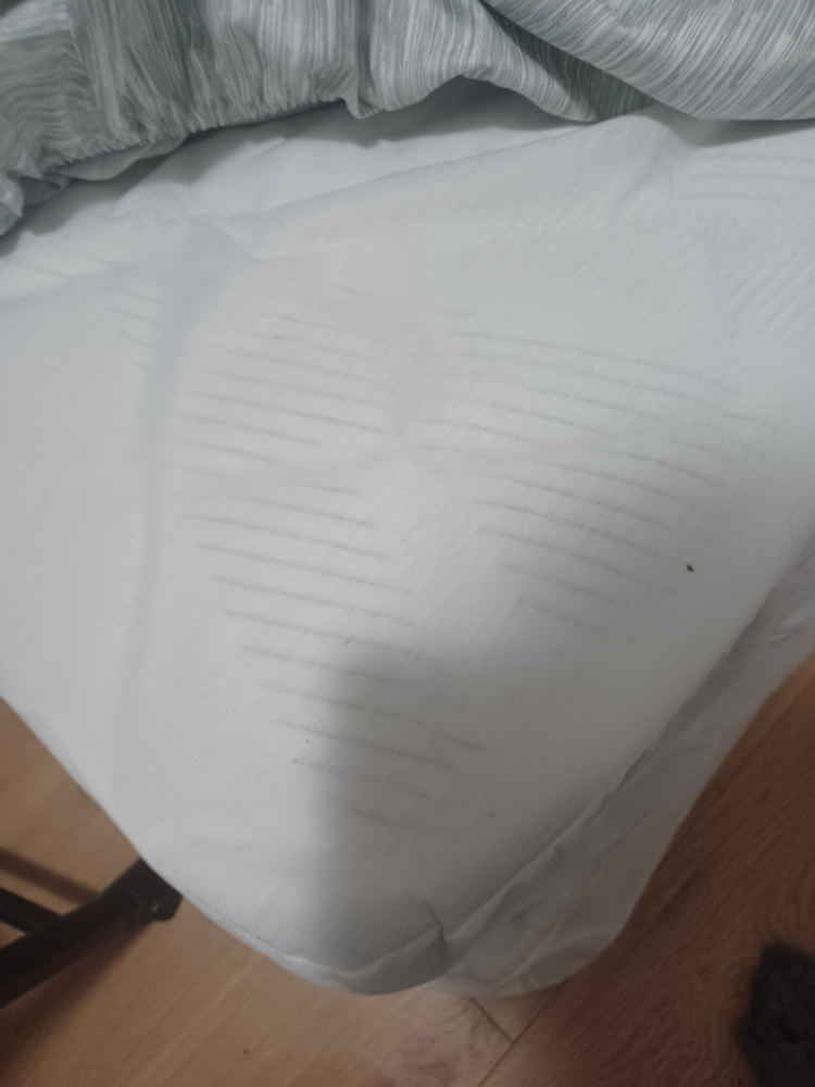 Free twin mattress and boxspring! - photo 4