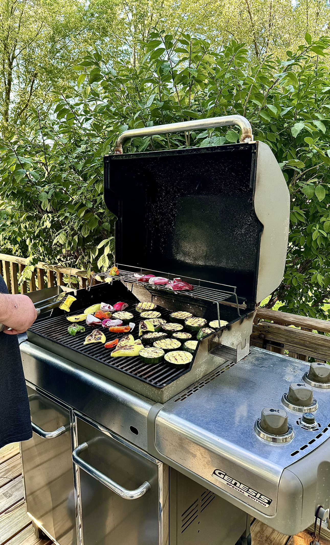Weber Genesis Special Edition