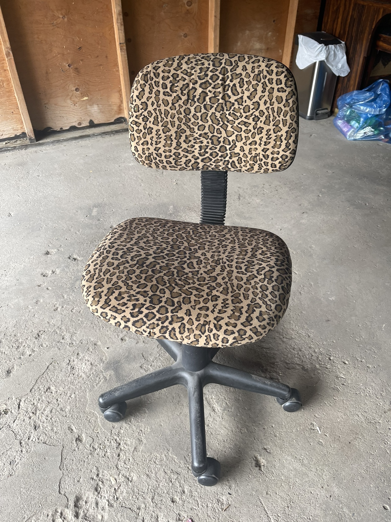 Cheetah Print Chair