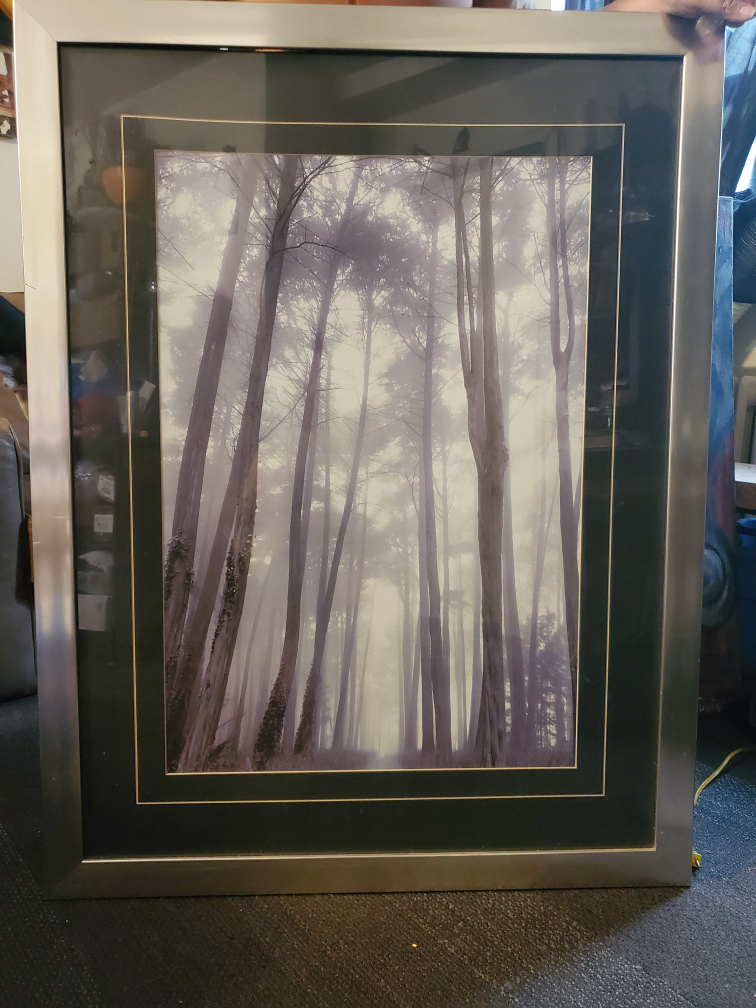 Framed Picture *Moving Sale* image indicator(2)