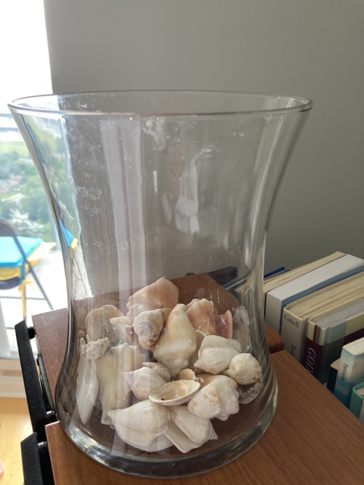 Vase with sea shells thumbnail