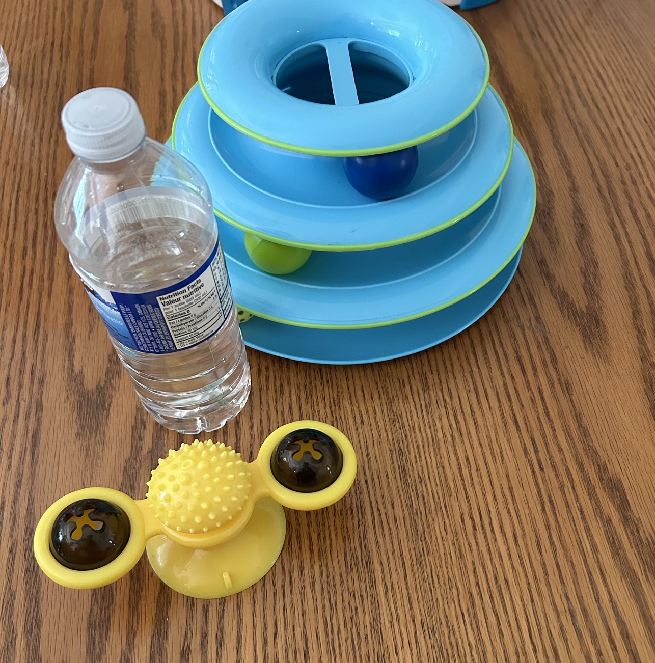 Interactive Cat Toy