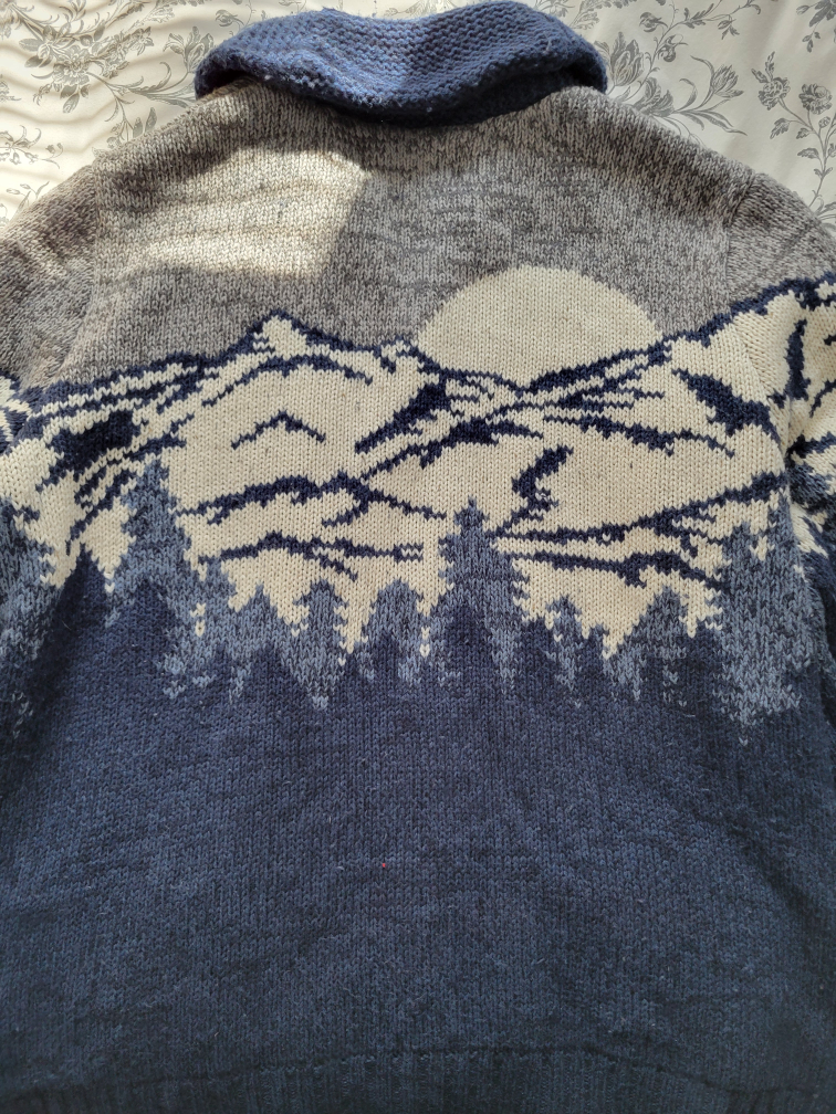 American Eagle Outfitters Mountain Scene Sweater image indicator(2)