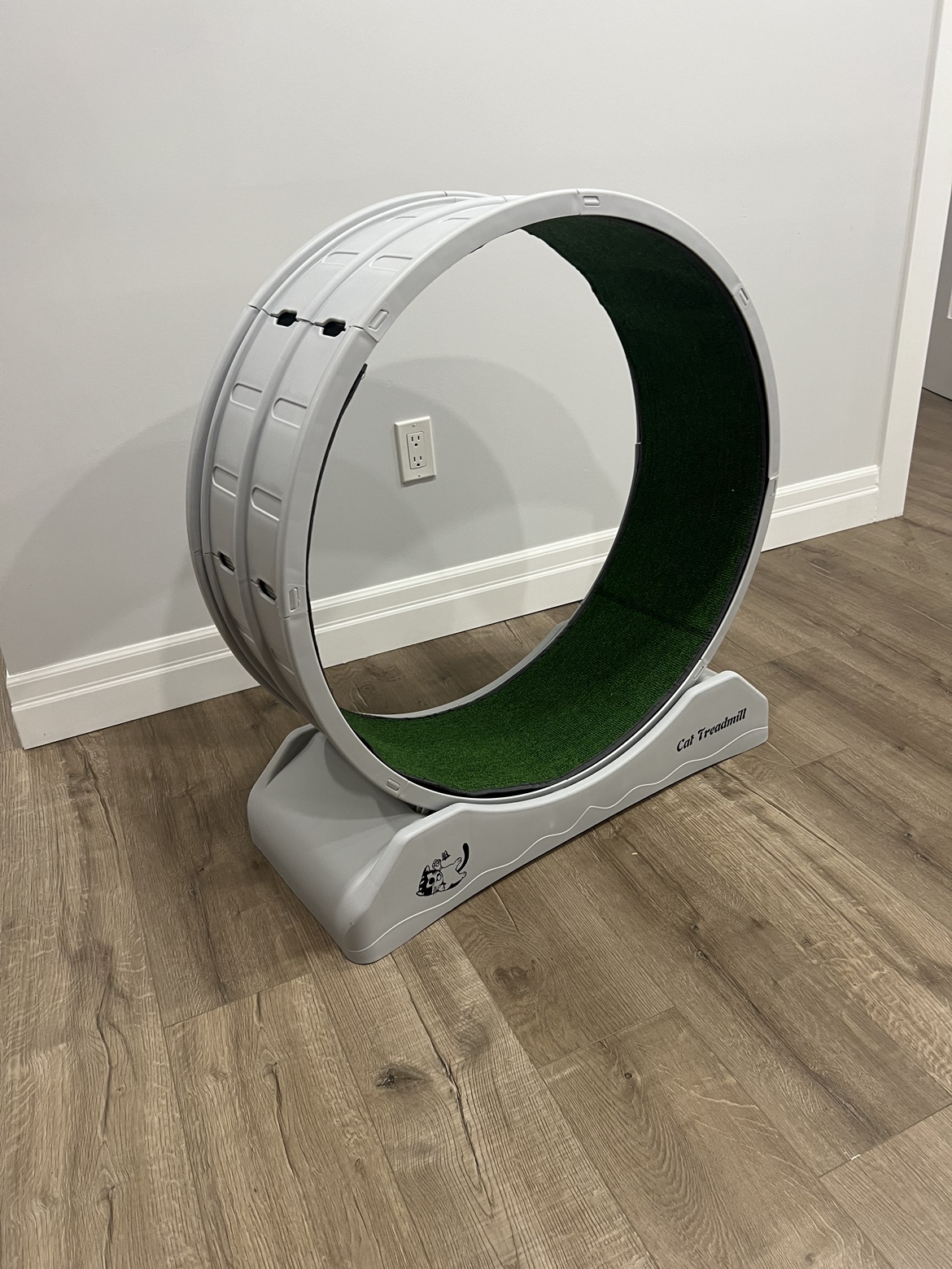 Cat Treadmill
