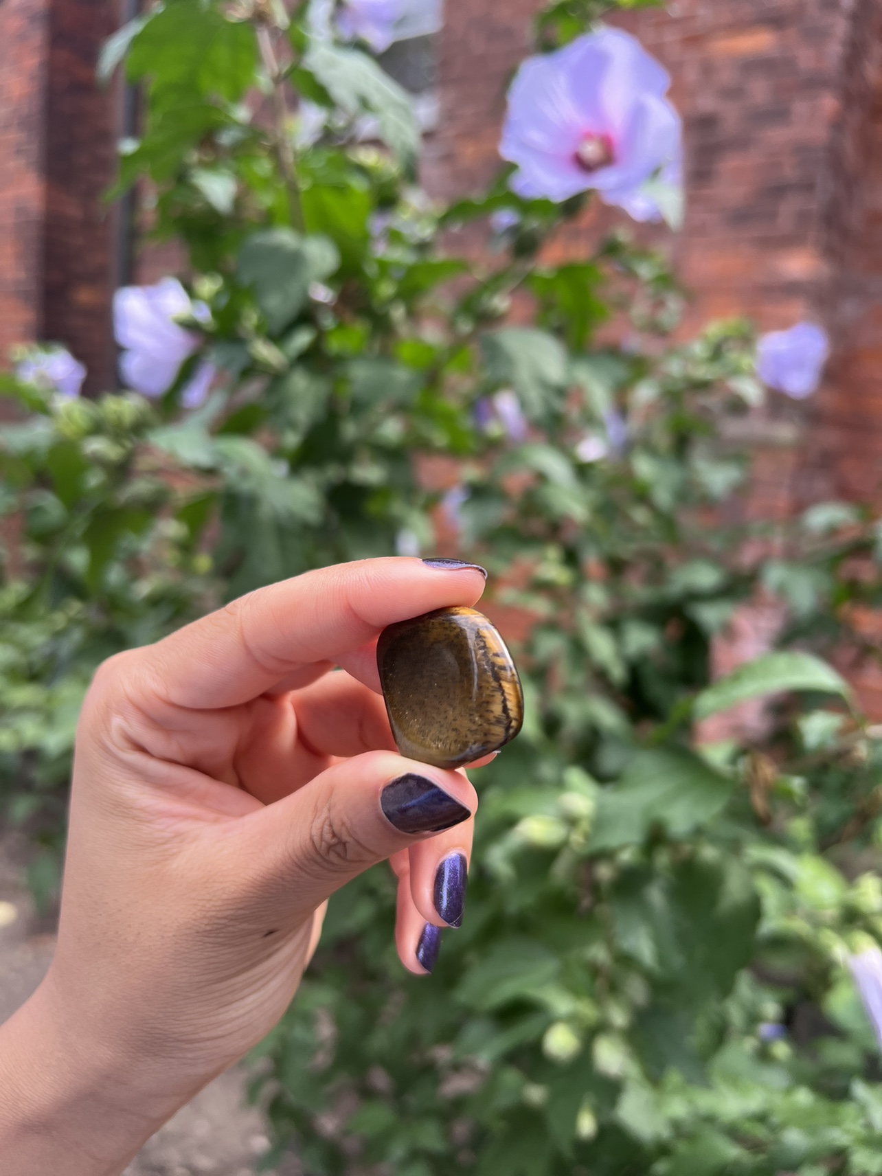 Tiger's Eye Tumbled Stone