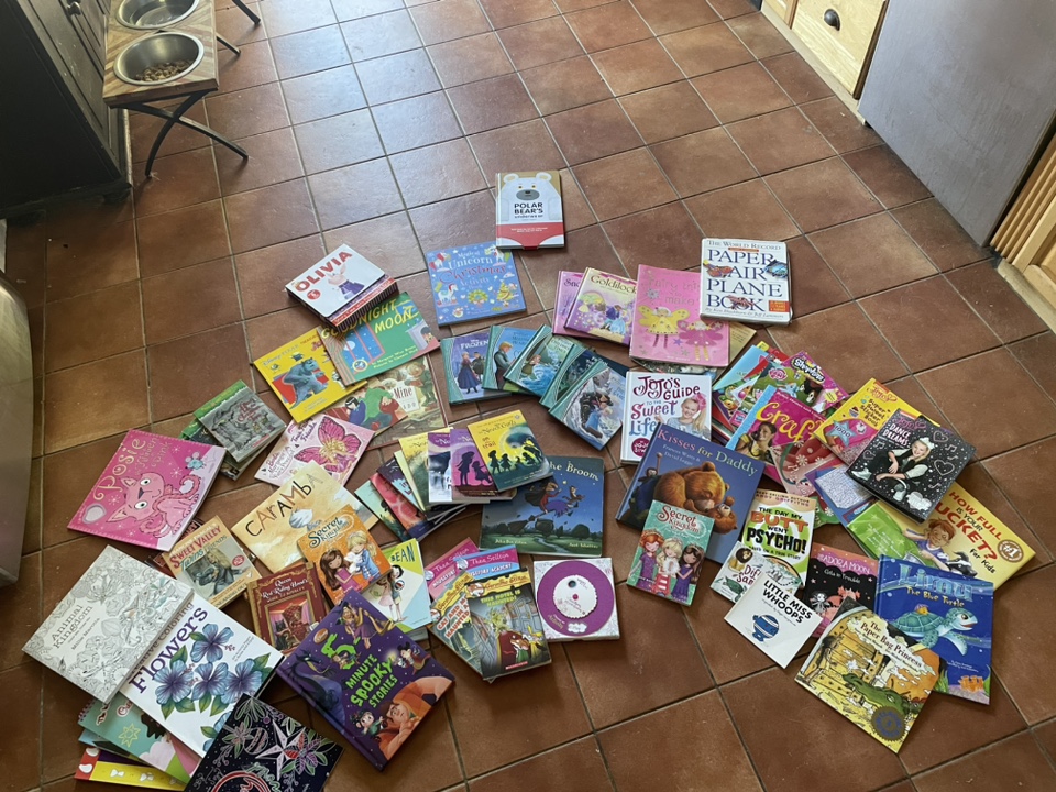 Children's books. Mostly pre teen books $25 takes it all.