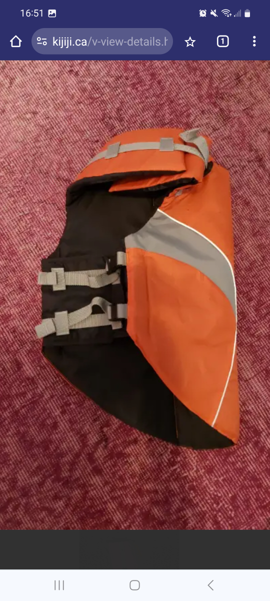 Large dog lifejacket image indicator(4)
