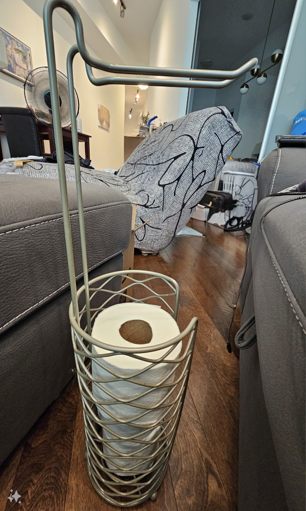Toilet Paper Holder and Stand thumbnail
