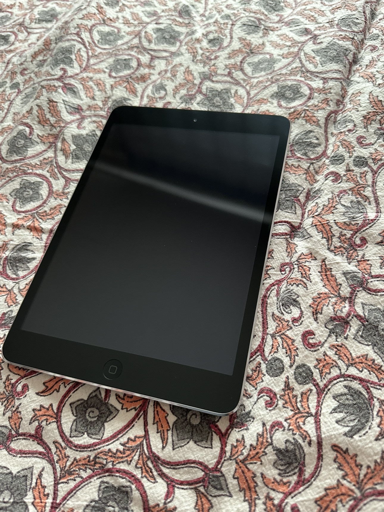 iPad Mini 2