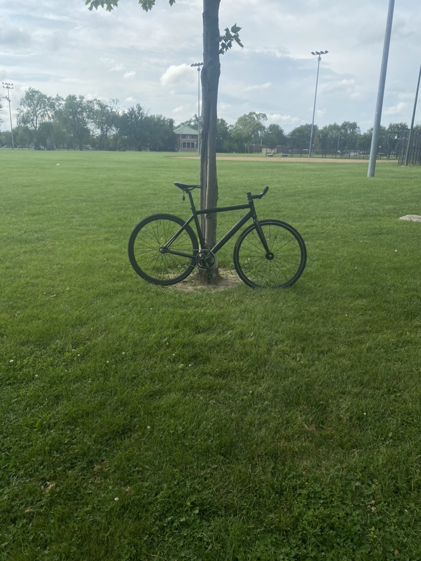 Fixie bike giant - photo 2