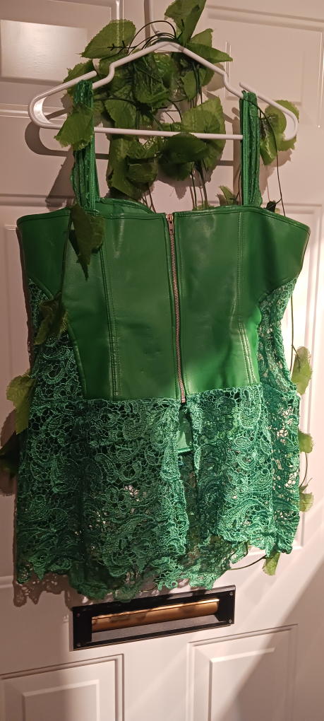 Size 16/18 Poison Ivy Costume - photo 2